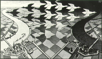 Day And Night By Escher